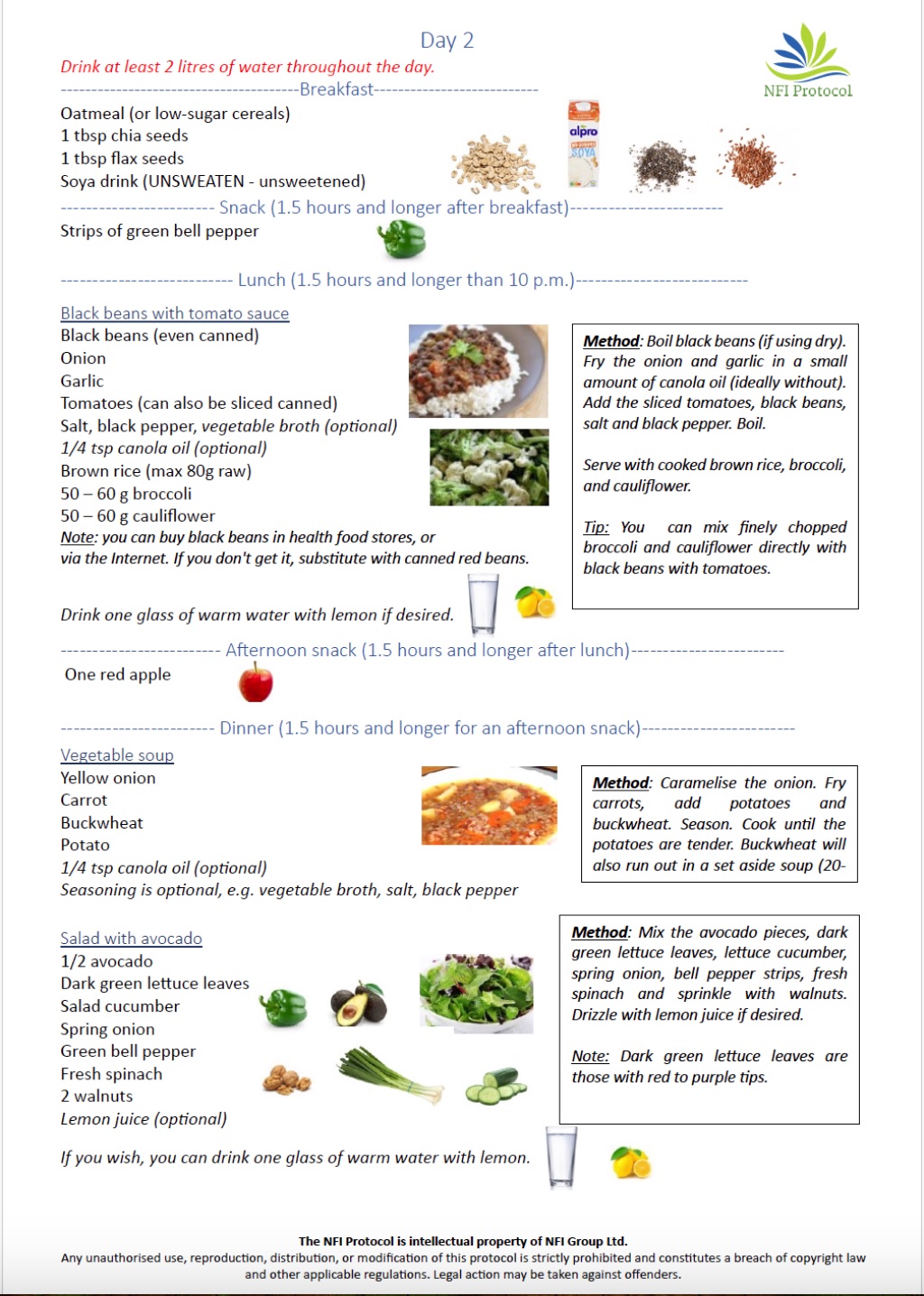 A detailed meal plan for Day 2 of the NFI Protocol, including breakfast, snacks, lunch, and dinner, with recipes for black beans in tomato sauce, vegetable soup, and avocado salad.